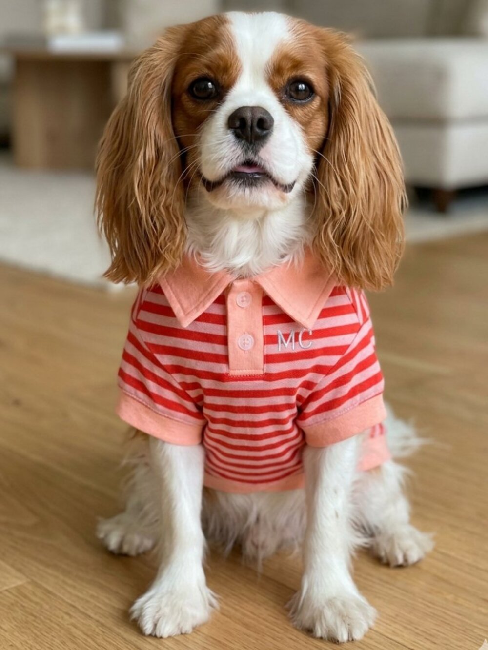 Pink - Red Stripe Polo